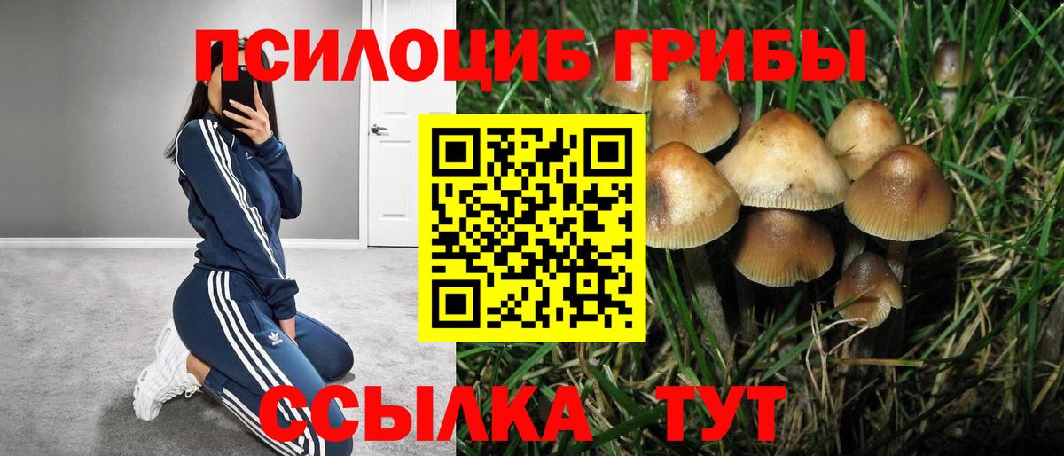 Галлюциногенные грибы ЛСД  Вход с VPN  магазин продажи наркотиков  Отрадный 